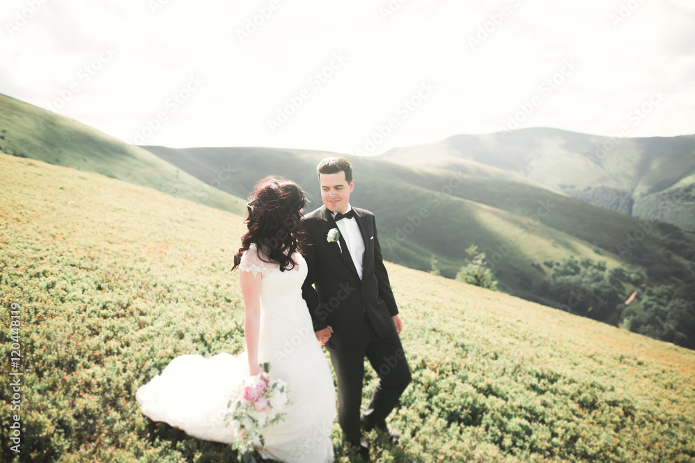 Beautiful wedding couple, bride and groom, in love on the background of mountains