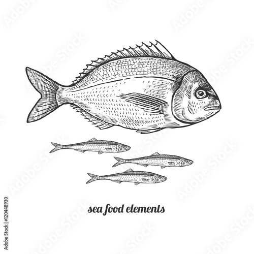 Dorado fish and anchovies.