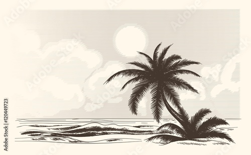 Vintage palm tree sketch. Vector palmtree ocean front in hand drawn style