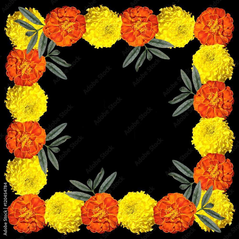 Obraz premium Beautiful floral background with yellow and orange marigold 