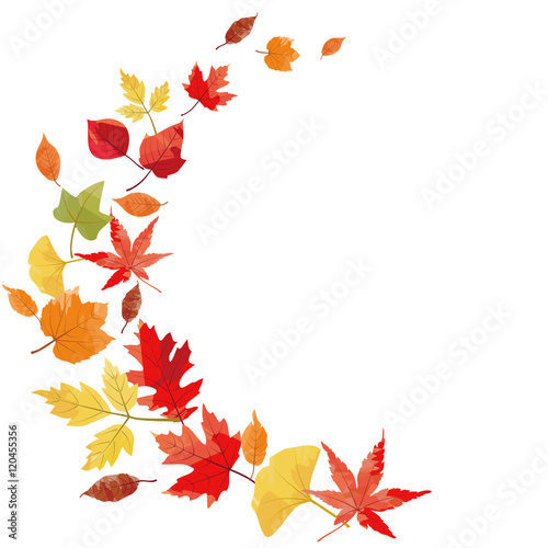 Autumn Leaves Frame