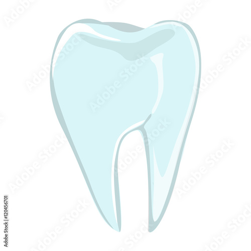 Realistic isolated human tooth on white background. Body organ. Human anatomy.