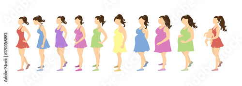 Pregnancy stages concept. Pregnant beautiful girl. Three trimesters with baby birth. Different colorful dresses.