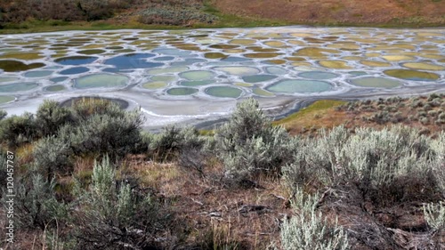 Spotted Lake in British Columbia, Canada