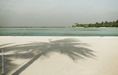 maldives island beach with palm tree and villa © Syda Productions