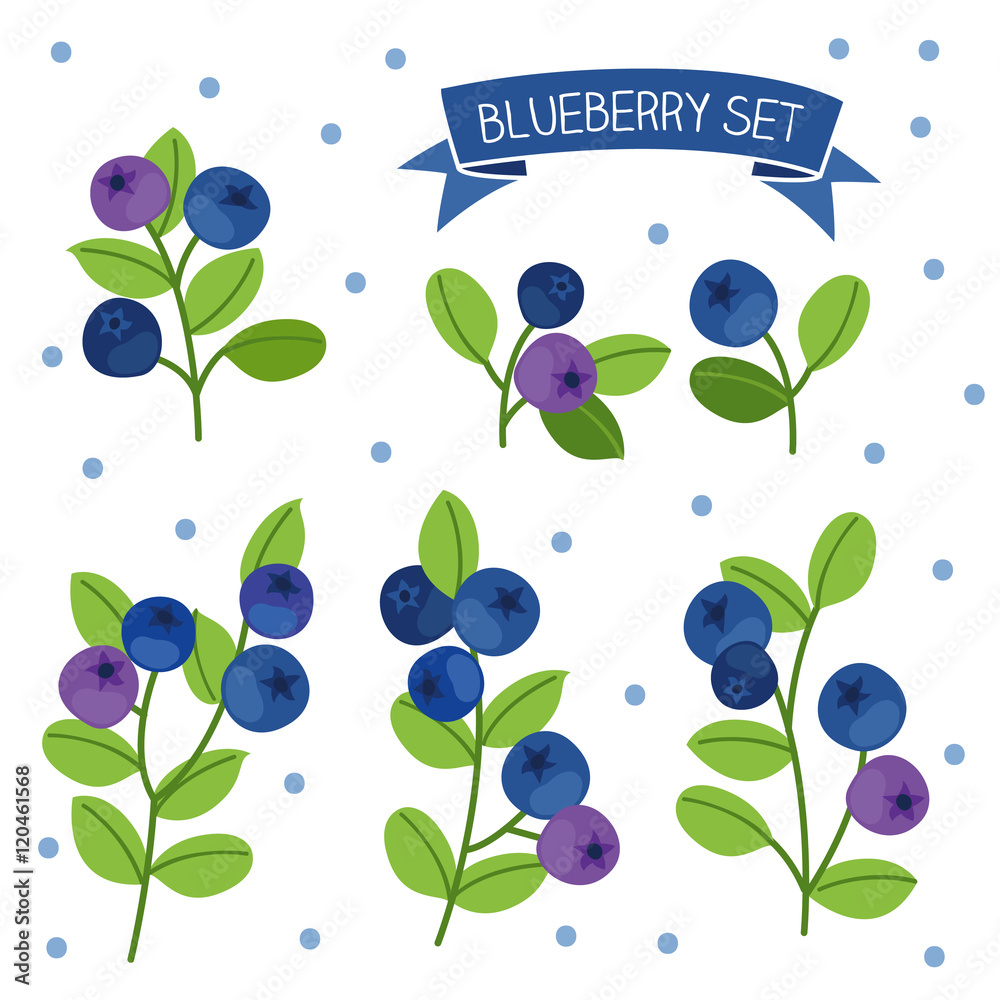 blueberry set