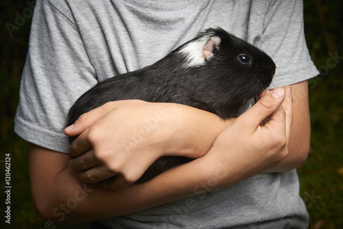 Boy holding a guinea pig