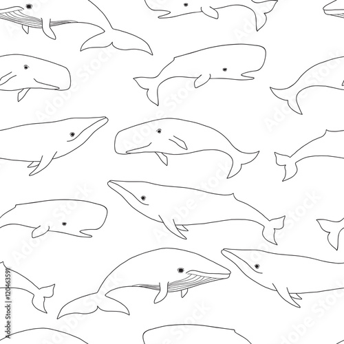 Pretty Seals seamless pattern. Vector marine background. 
