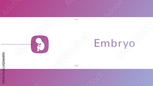 Fetus Icon Isolated on White Background