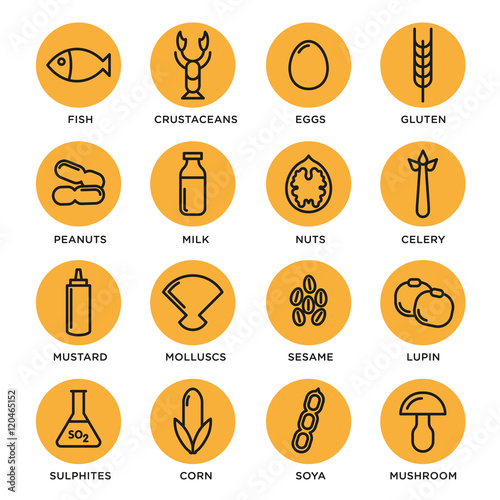 Allergen icons vector set. Food allergens symbols emblems signs collection