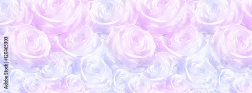 elegant  pattern pink luxurious rose