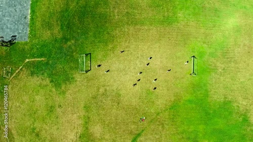 people playing soccer top down view photo