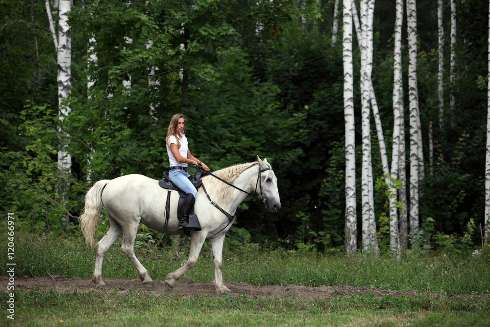 Girl galloping horse on a background of green wood