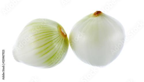 onion  on white background