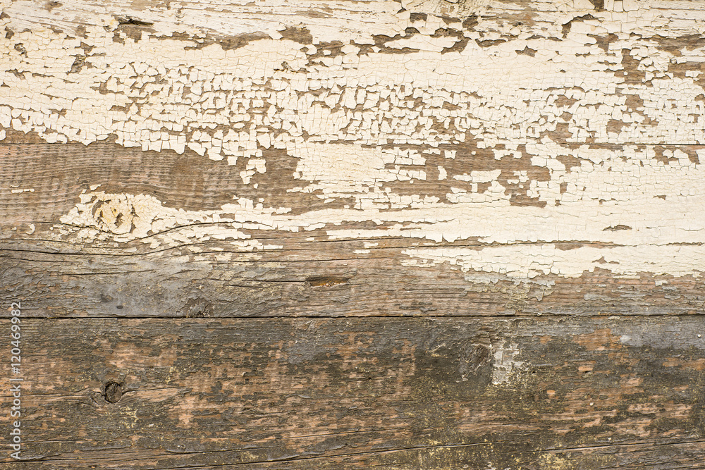 white wood texture background. white wood texture background.