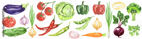 Watercolor vegetables set. Fresh and healthy vegetables on white background. Great source of vitamin. Eggplant, tomato, chili and more.