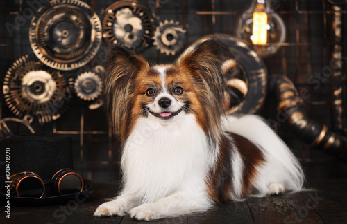 dog on a dark background in the style of steampunk