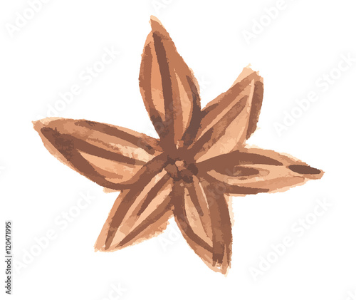 Isolated star anise on white background. Food seasoning and aromatherapy. Asian aromatic herb.