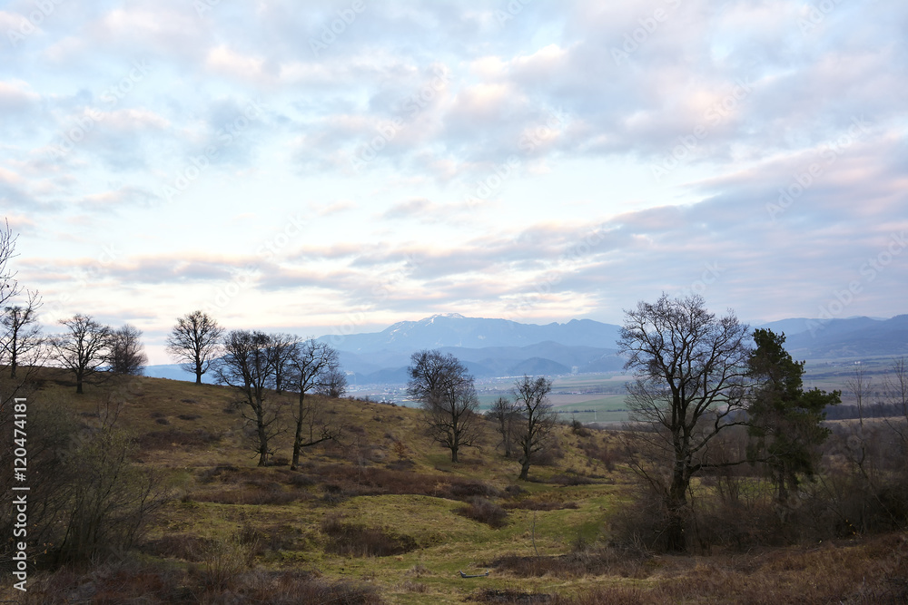 evening in a early spring landscapeon wild transylvania hills. Brasov. Romania. Low key, dark background, spot lighting, and rich Old Masters evening in a early spring landscapeon wild transylvania hills. Brasov. Romania. Low key, dark background, spot lighting, and rich Old Masters