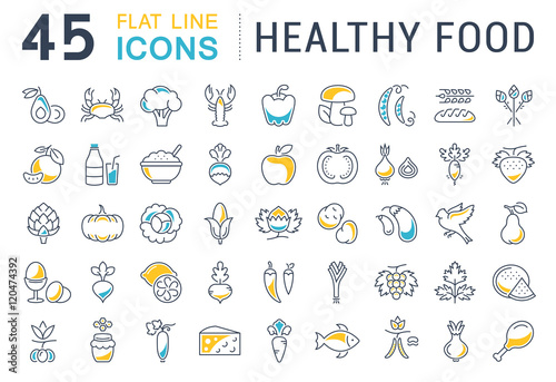 Set Vector Flat Line Icons Healthy Food