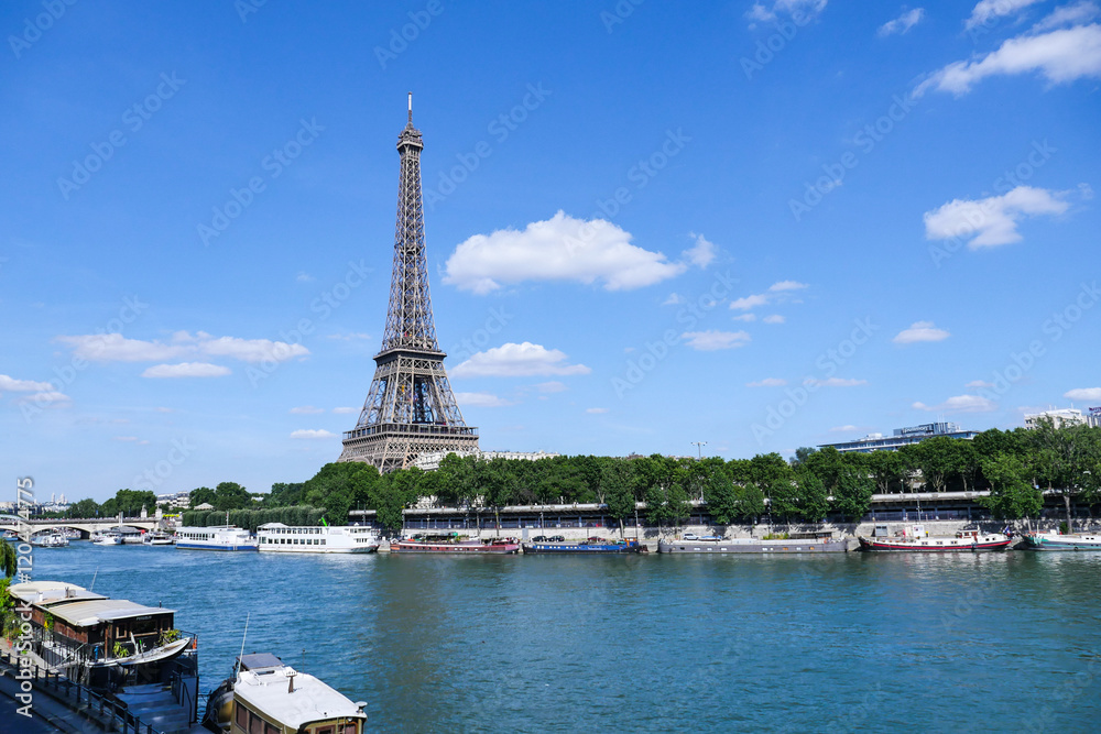 Naklejka premium Eiffel Tower in Paris with Seine, France