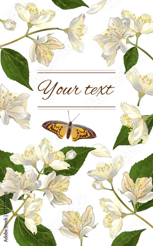 Jasmine flowers banner