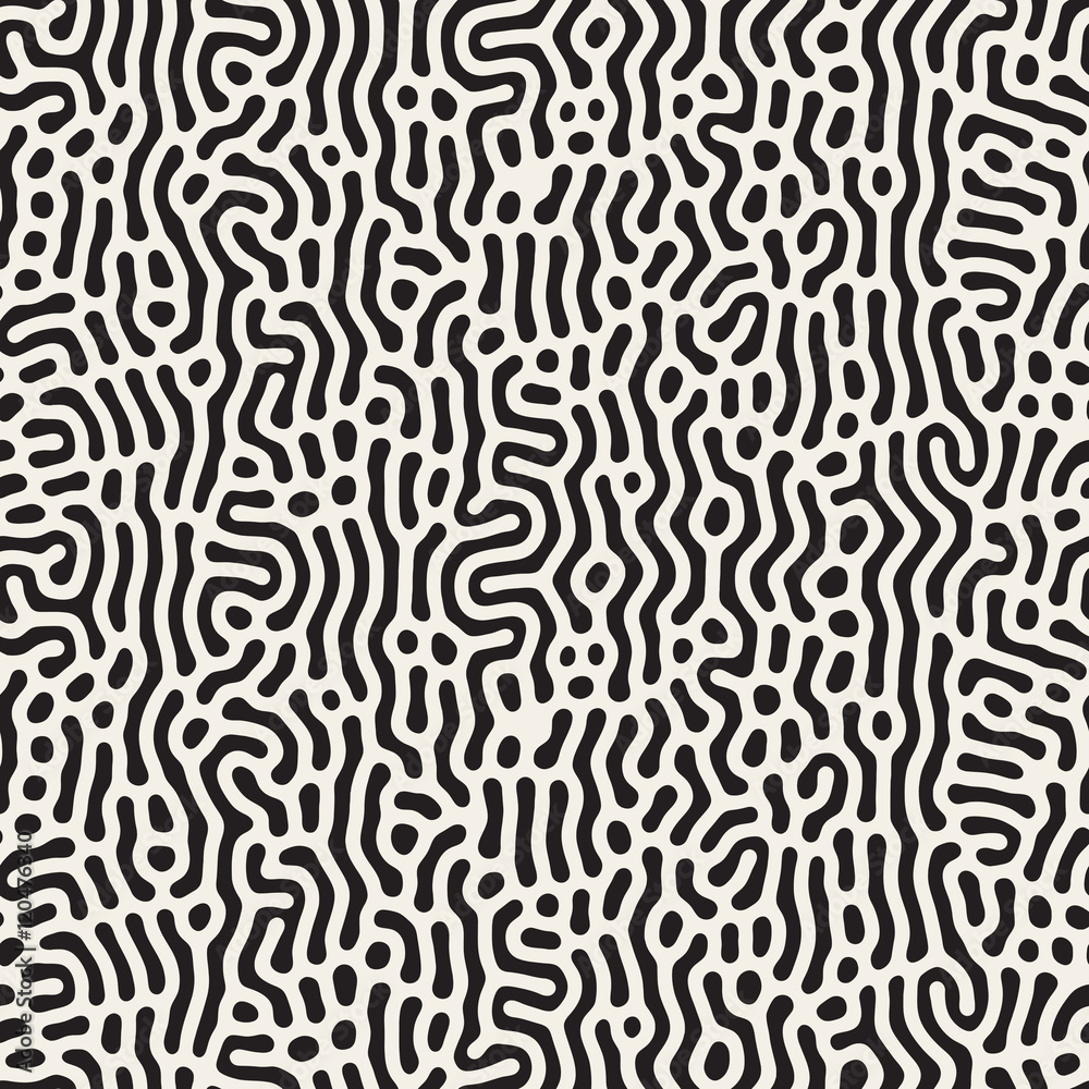 Vector Seamless Black and White Organic Lines Pattern