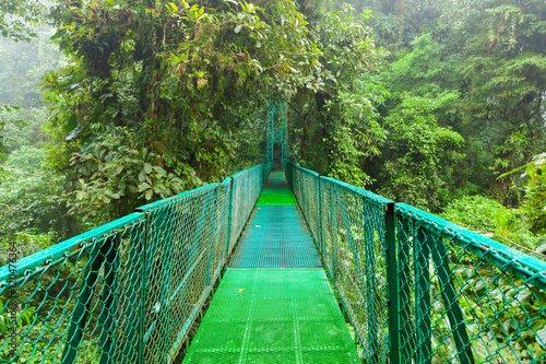 Fototapeta Naklejka Na Ścianę i Meble -  Suspension bridge in rainforest