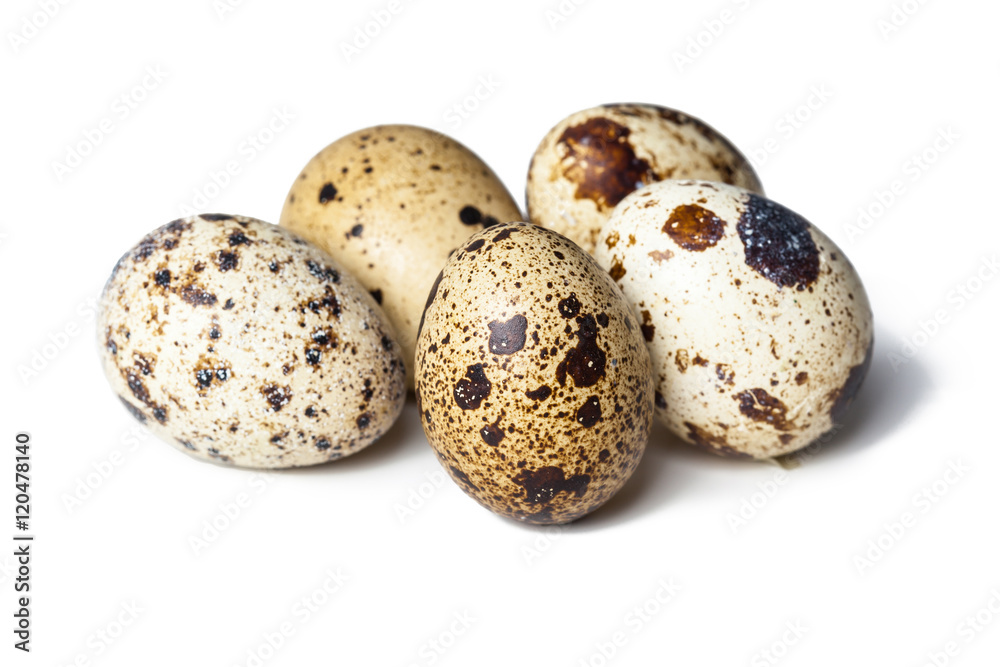Quail eggs are isolated on a white background Quail eggs are isolated on a white background