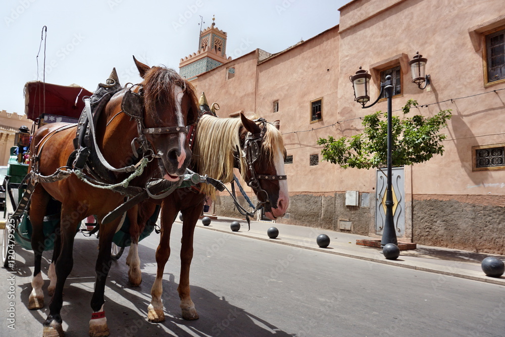 Markt in der Medina von Marrakesch Markt in der Medina von Marrakesch