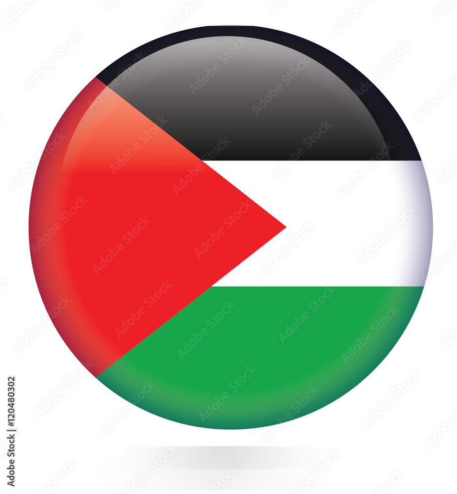 Palestine flag button Palestine flag button