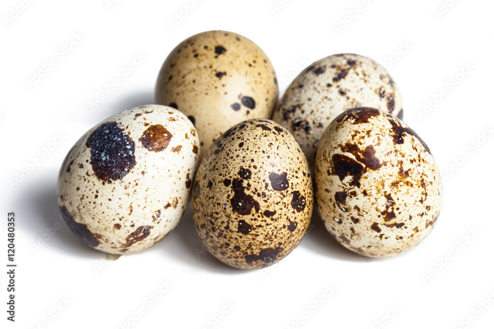 Quail eggs are isolated on a white background Quail eggs are isolated on a white background