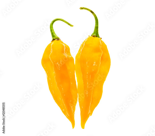 Two Ripe fresh fatalii yellow chili hot pepper photo