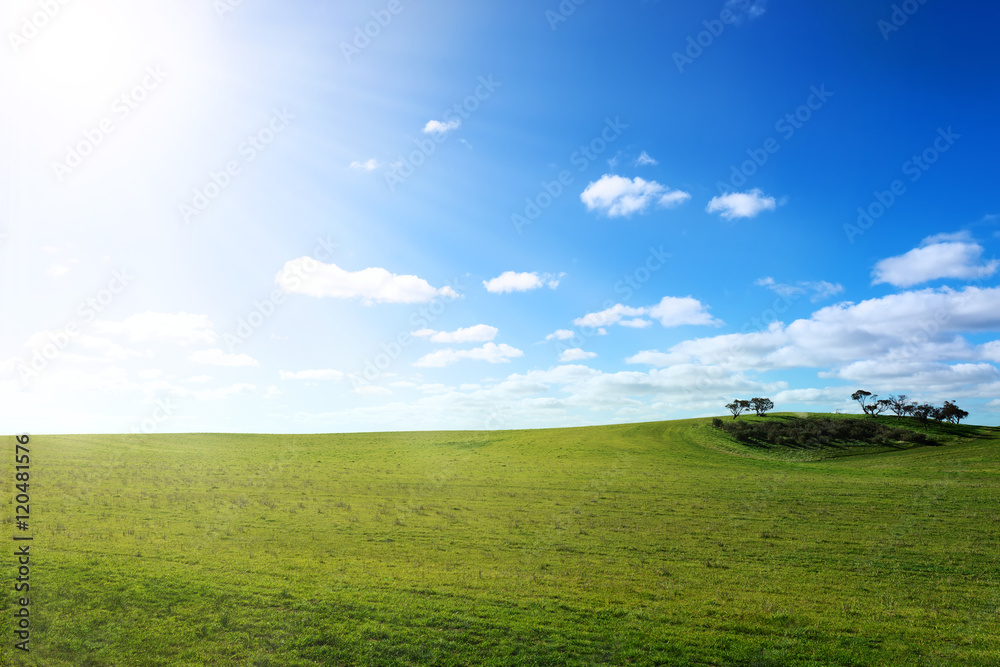 Green field with sun and blue sky with clouds