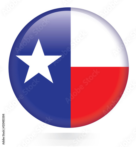 Texas flag button