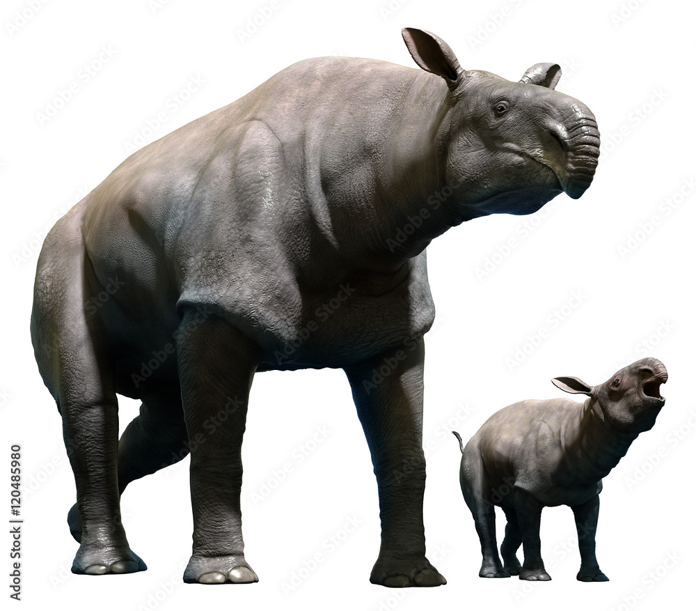 Paraceratherium with calf 3D illustration Paraceratherium with calf 3D illustration