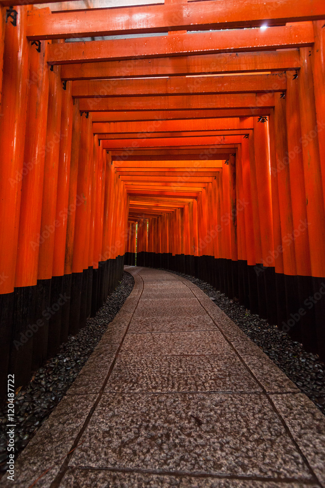 Fototapeta premium Holiday in Japan - Raining day in Torii Gates, Fushimi Inari Shrine, Kyoto