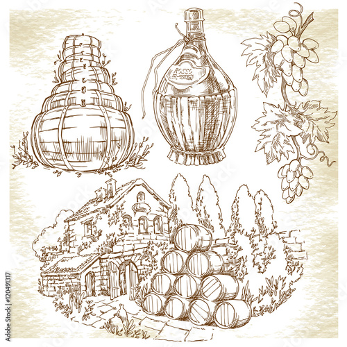 Hand made sketch grape fields and vineyards.