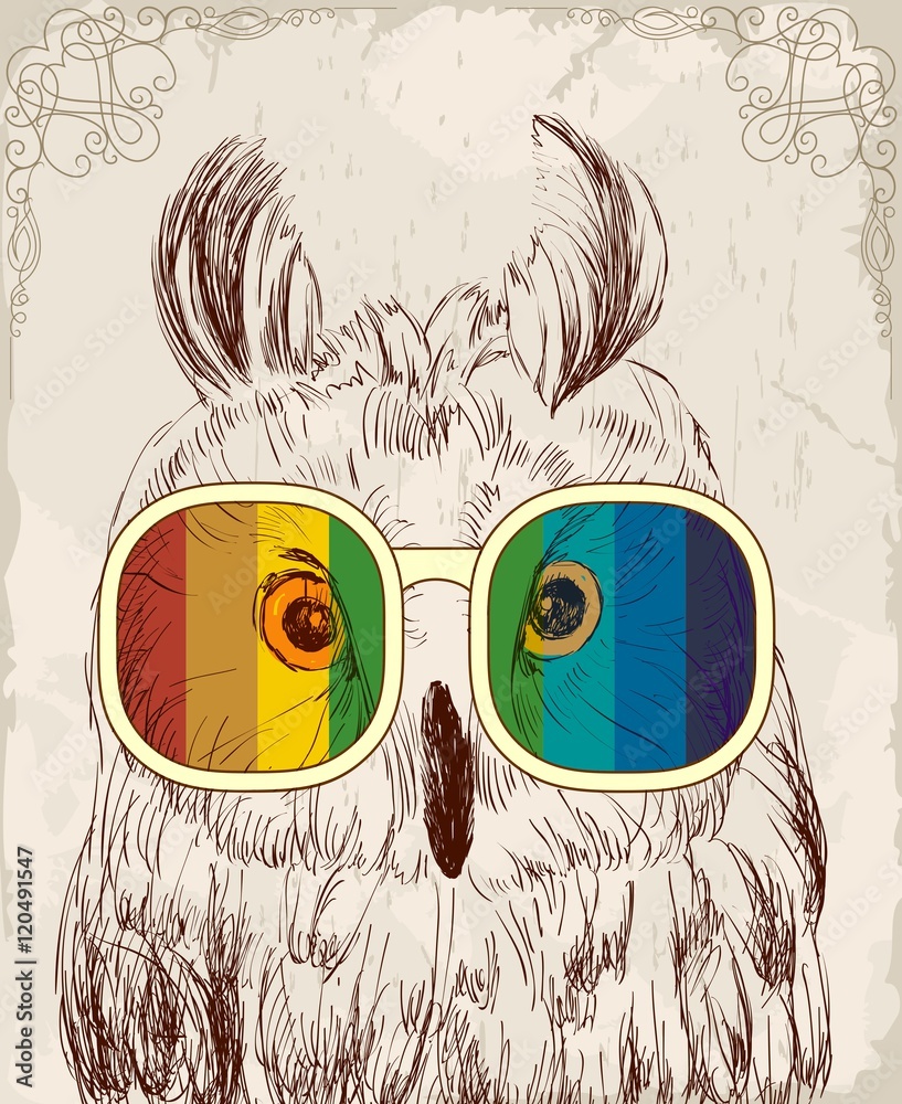 Fototapeta premium Vector sketch of owls with glasses. Retro illustration