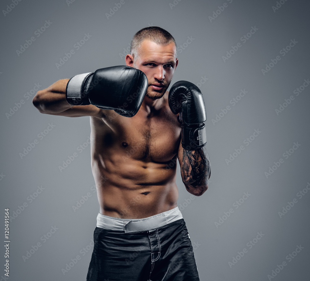 Shirtless fighter isolated on grey background.