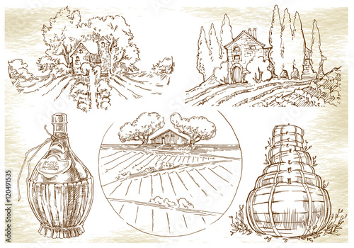 Hand made sketch grape fields and vineyards.