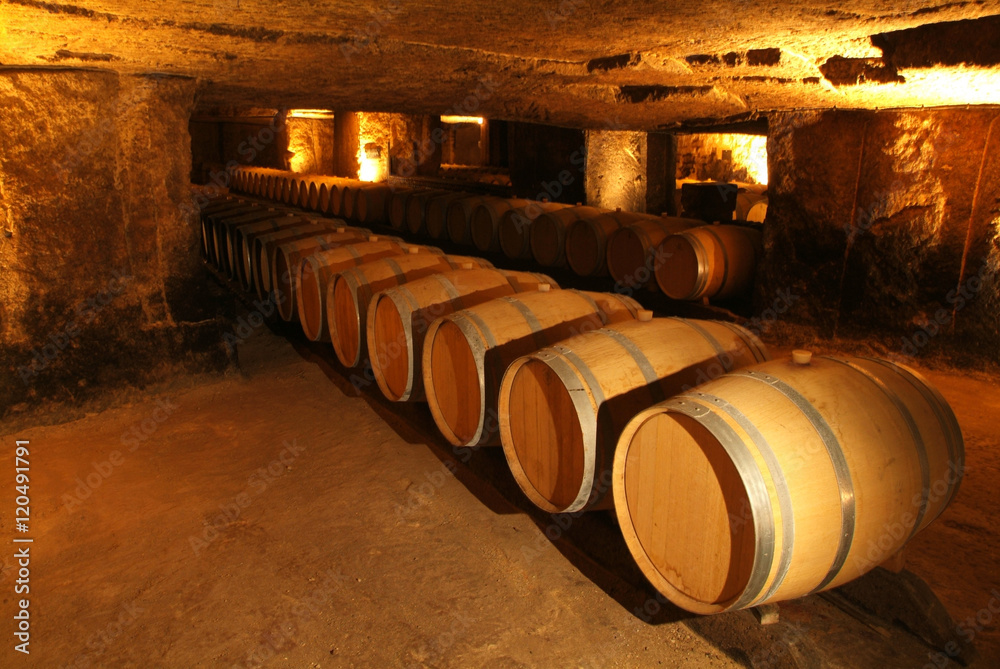 Wine barrels in cellar.
