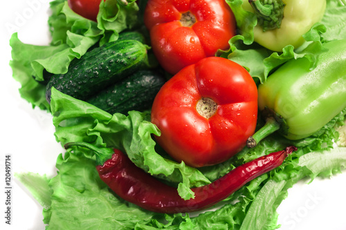 Fresh organic vegetables. Autumn vegetables. Harvesting. Ingredients for the salad. Lettuce, tomatoes, cucumbers, zucchini, eggplant, peppers, chillies.