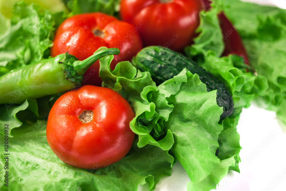 Fresh organic vegetables. Autumn vegetables. Harvesting. Ingredients for the salad. Lettuce, tomatoes, cucumbers, zucchini, eggplant, peppers, chillies.