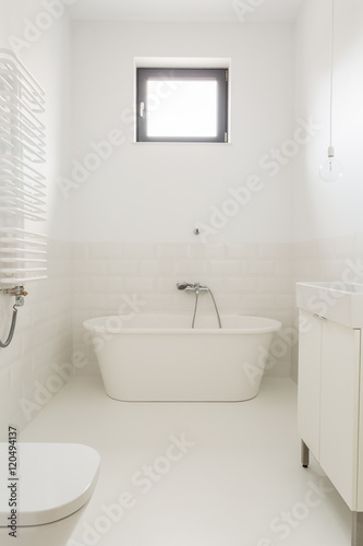 Cleanliness of transparency - dream bathroom