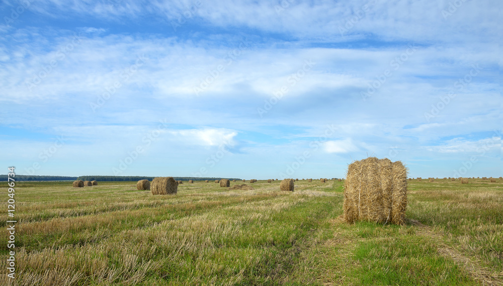 Straw rolls Straw rolls