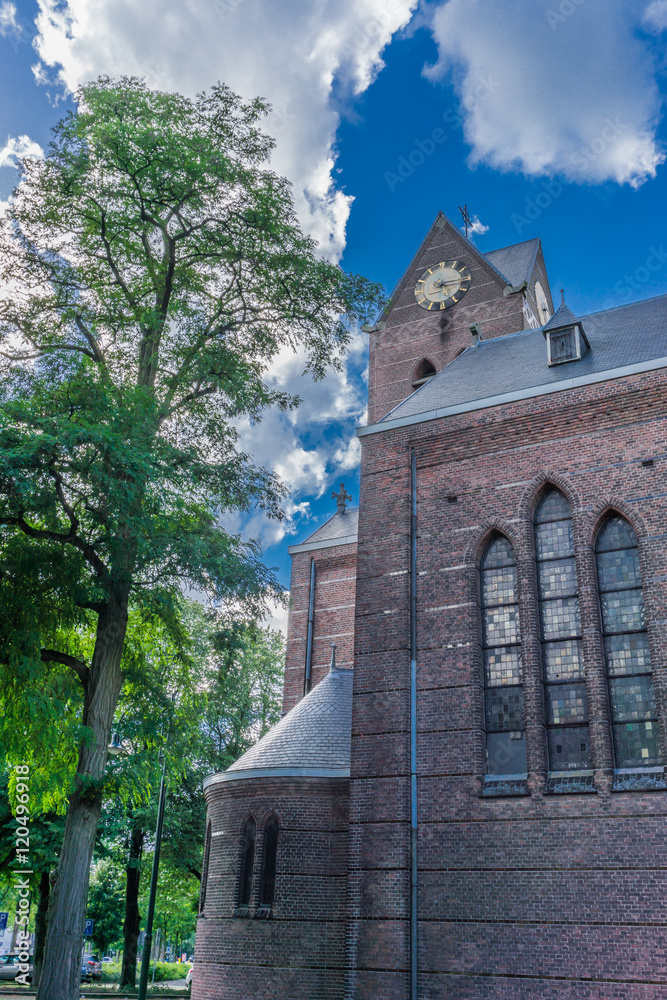 Fototapeta premium old style church with tree and clock tower