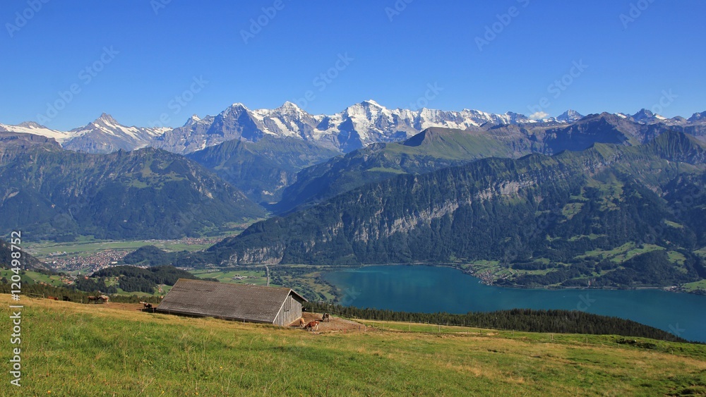 Summer day in the Bernese Oberland