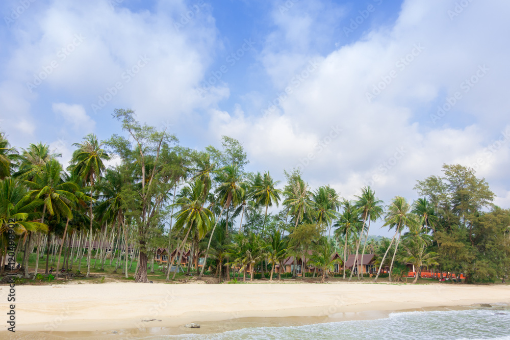 Obraz premium Wooden pier on the beach Beautiful tropical sea and blue sky of