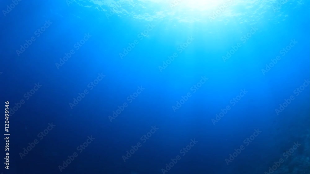Underwater ocean and sunlight in blue water
